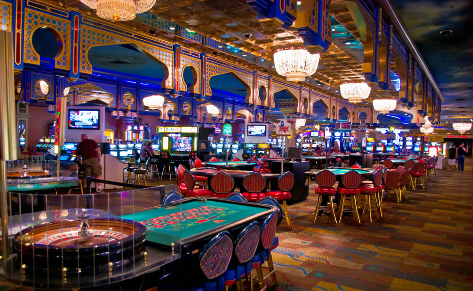 Casino Daily